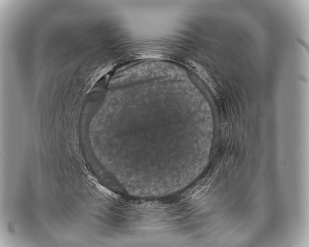 X0000097840385200804111110