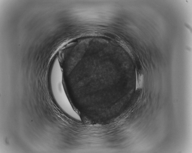 X0000097840387200804111110