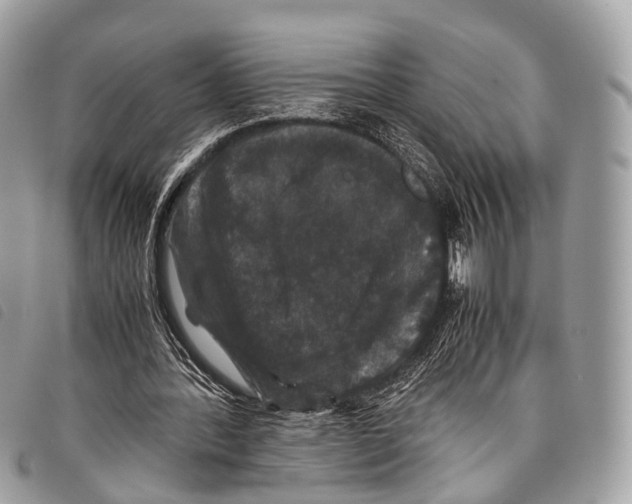 X0000097840388200804111110