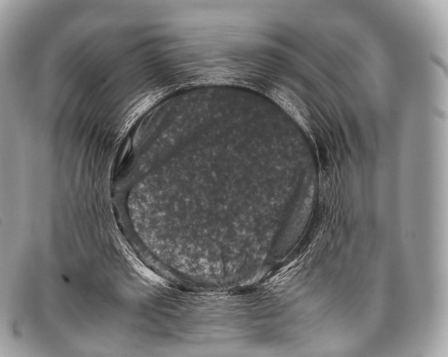 X0000097840389200804111110