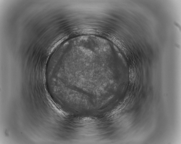 X0000097840390200804111109