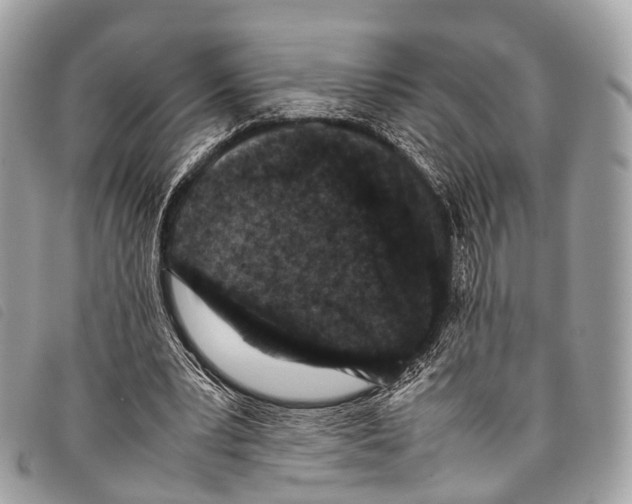 X0000097840391200804111109