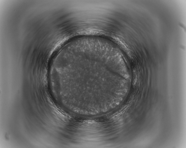 X0000097840392200804111109