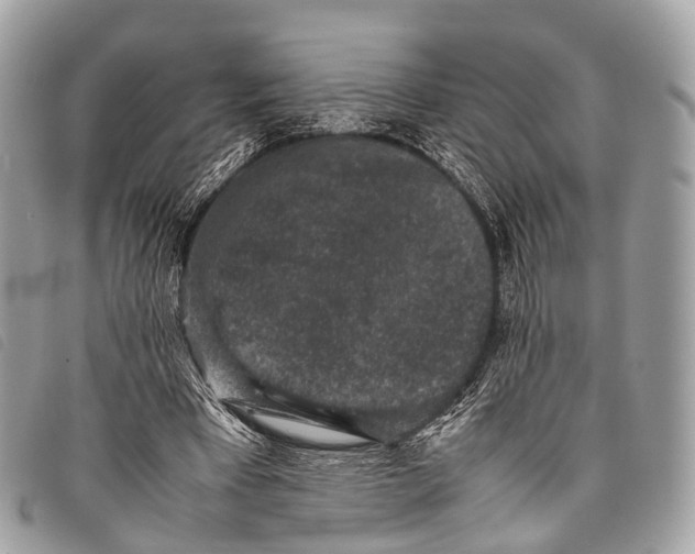 X0000097840393200804111109
