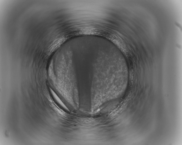 X0000097840397200804111109