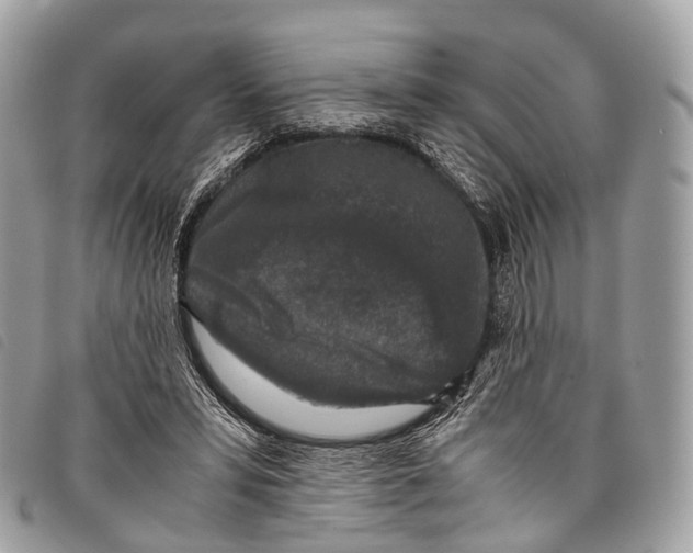 X0000097840399200804111109