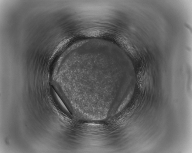 X0000097840400200804111109