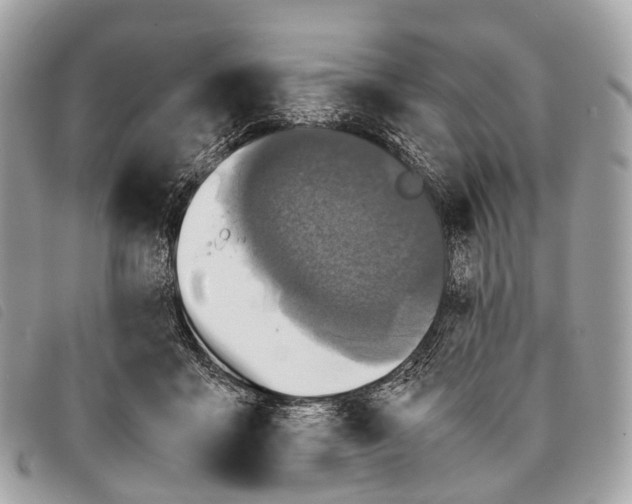X0000097840411200804111109