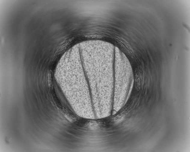 X0000097840416200804111109