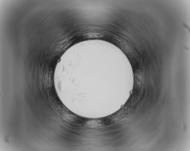 X0000097840422200804111109