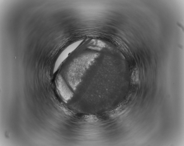 X0000097840424200804111109