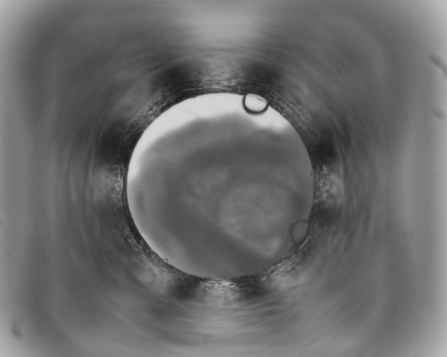 X0000097840427200804111109