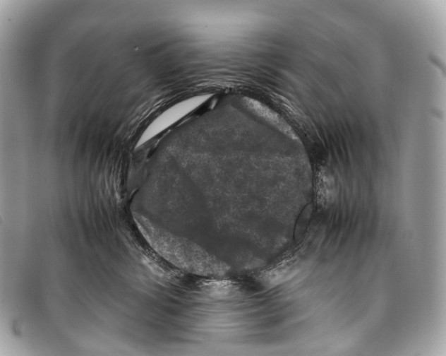 X0000097840428200804111109