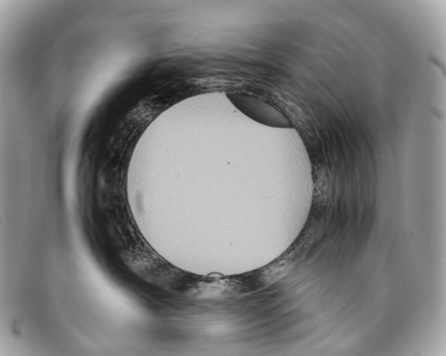 X0000097840430200804111109