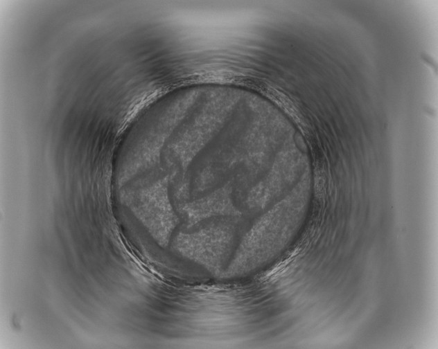 X0000097840434200804111108