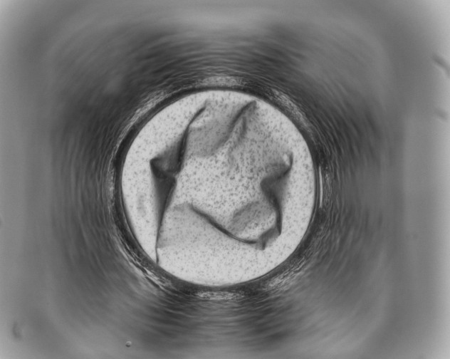 X0000097840435200804111108