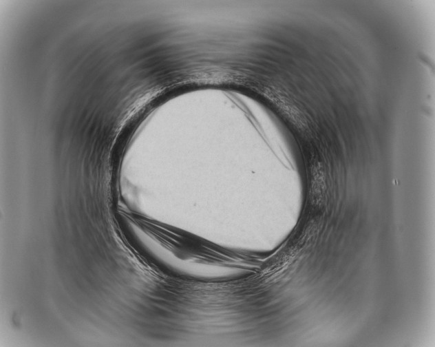 X0000097840440200804111108