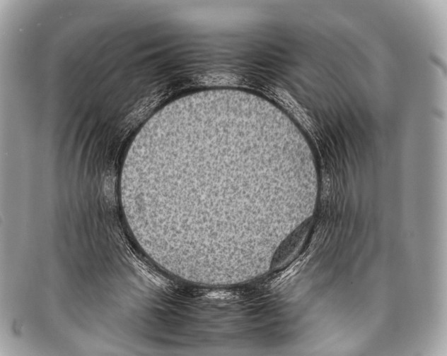 X0000097840441200804111108