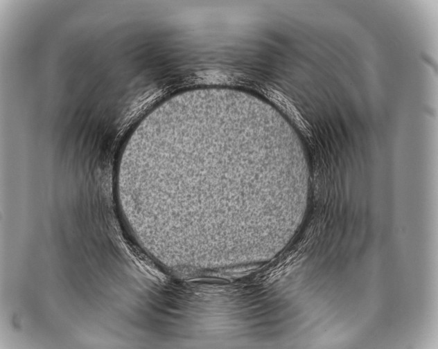 X0000097840442200804111108