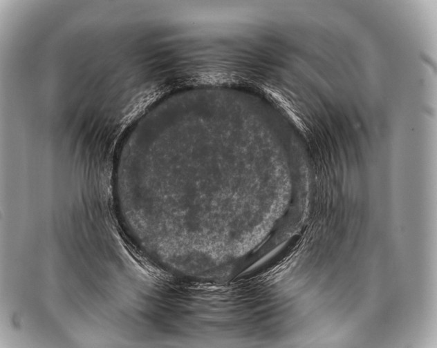 X0000097840443200804111108