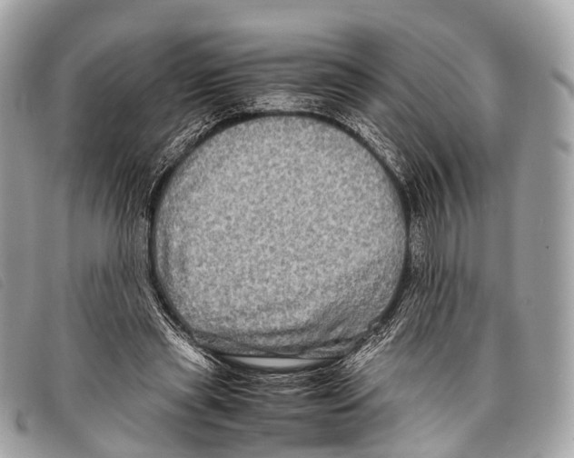 X0000097840445200804111108