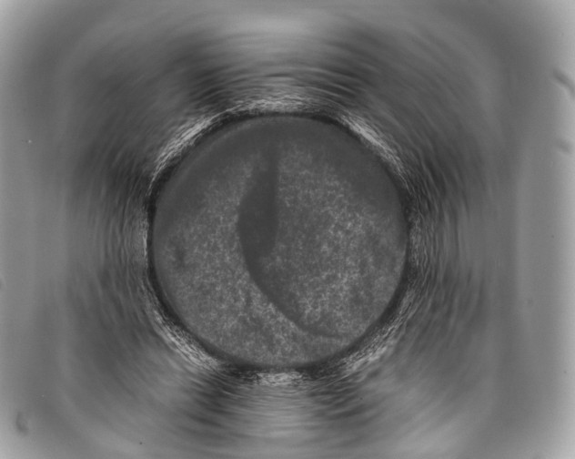 X0000097840446200804111108