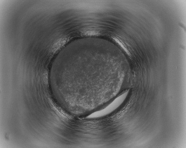 X0000097840447200804111108