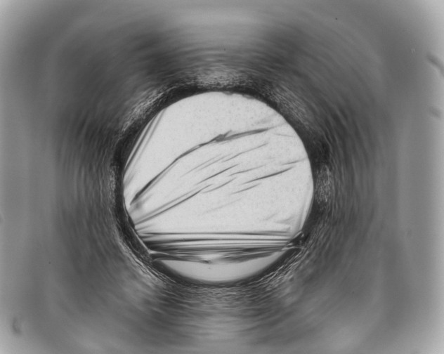 X0000097840448200804111108