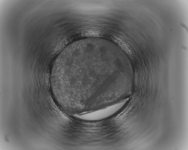 X0000097840449200804111108
