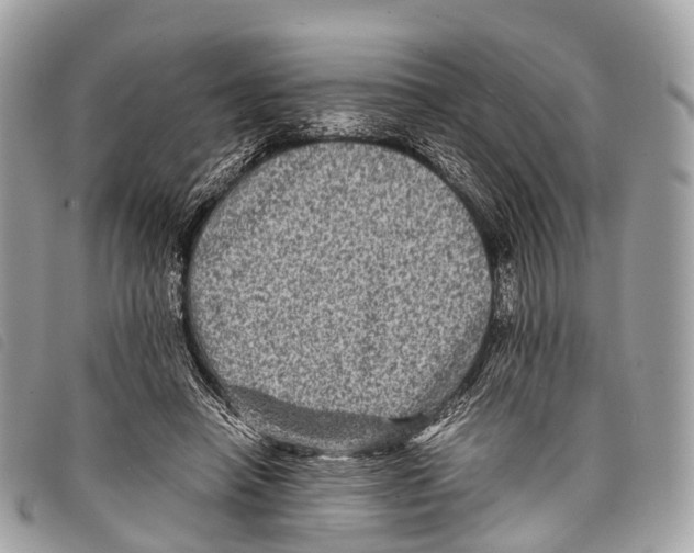 X0000097840450200804111108