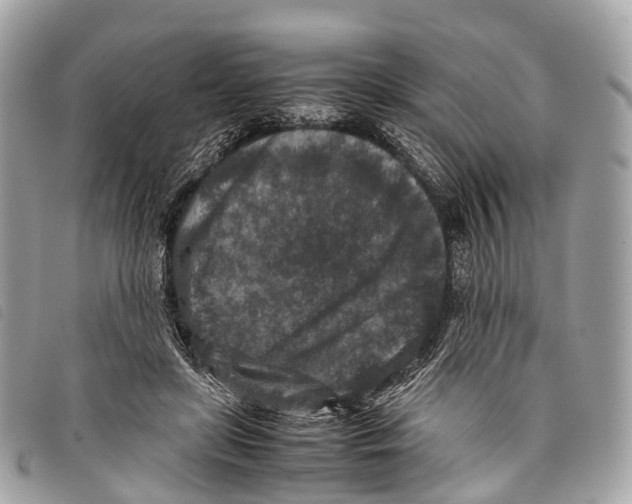 X0000097840451200804111108