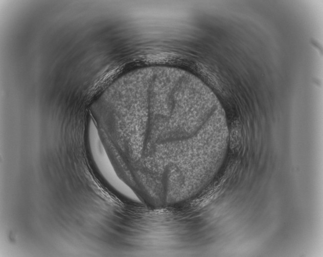 X0000097840454200804111109
