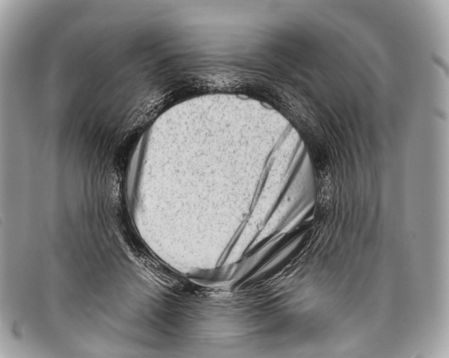 X0000097840456200804111109