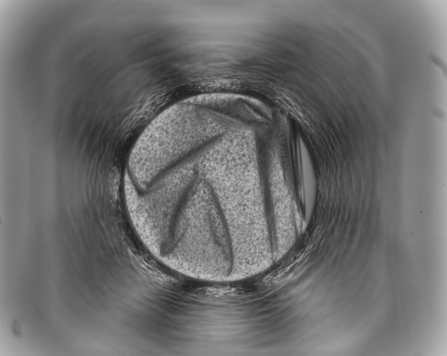 X0000097840458200804111109