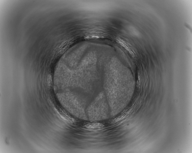X0000097840459200804111109