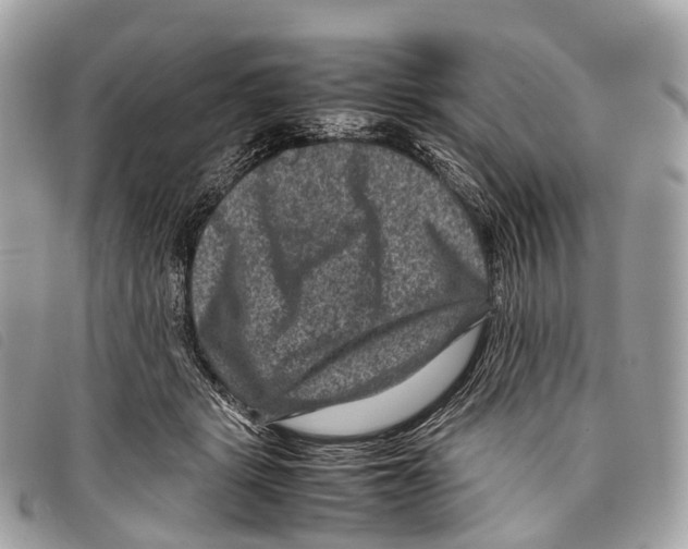 X0000097840461200804111109