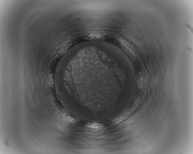 X0000097840467200804111109
