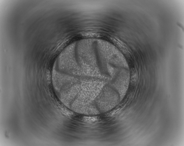 X0000097840469200804111109