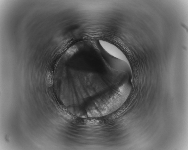 X0000097840471200804111109