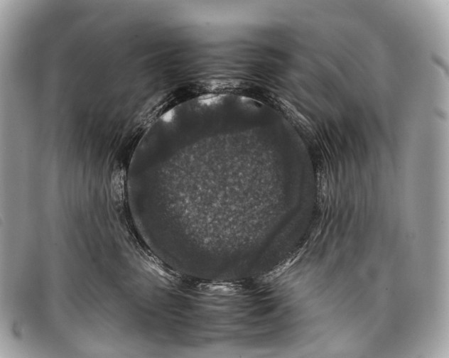 X0000097840475200804111109