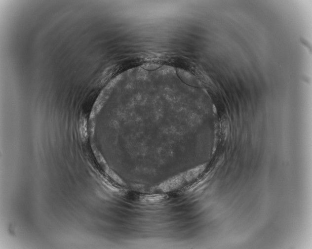 X0000097840479200804111109