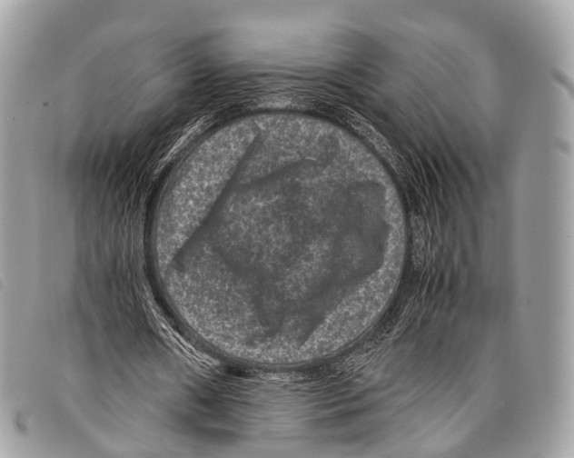 X0000097840482200804111108