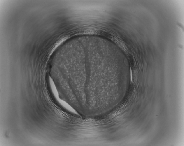 X0000097840483200804111108