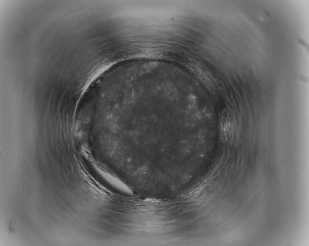 X0000097840484200804111108