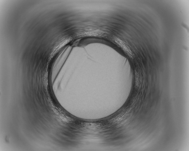 X0000097840486200804111108