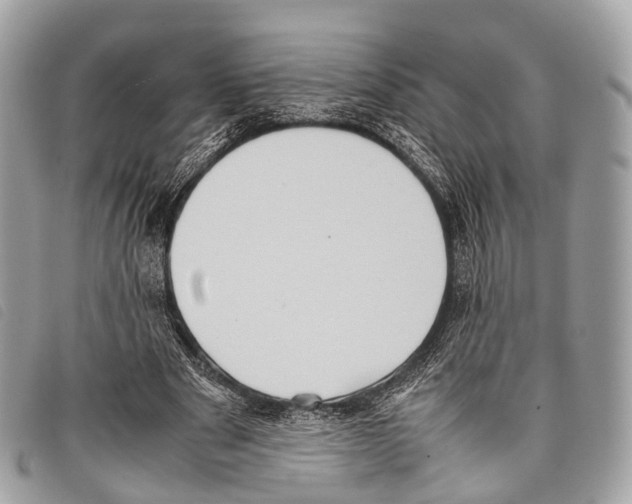 X0000097840489200804111108