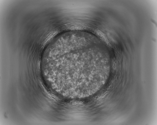 X0000097840491200804111108