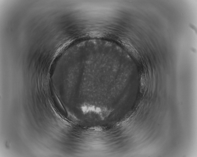 X0000097840492200804111108