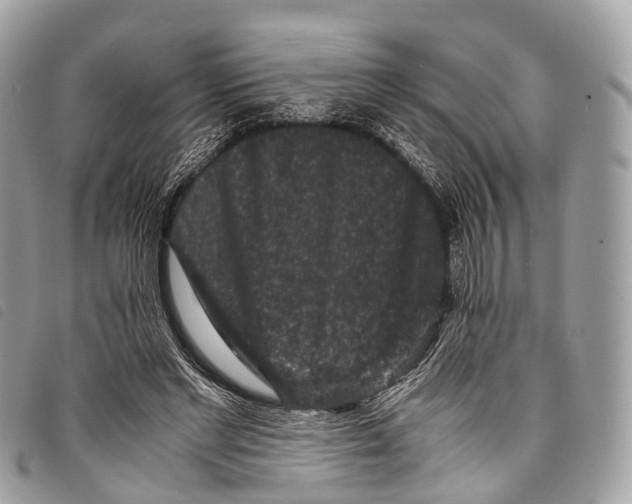 X0000097840493200804111108
