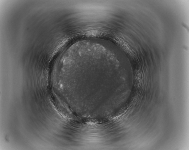 X0000097840496200804111108